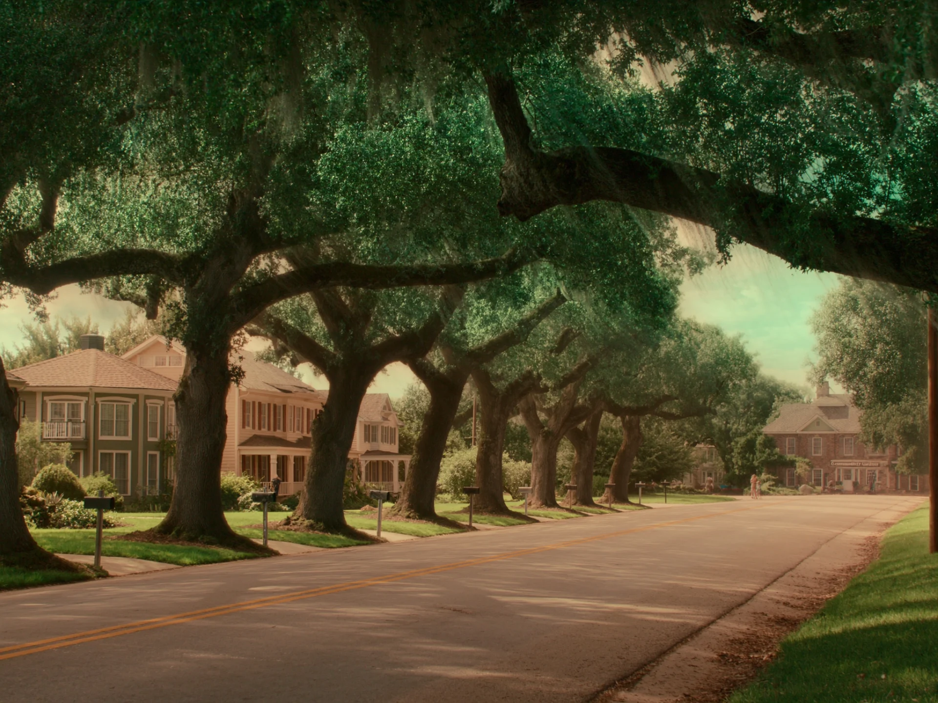Spanish moss oak-lined street in the LoyalTree Lowcountry service area