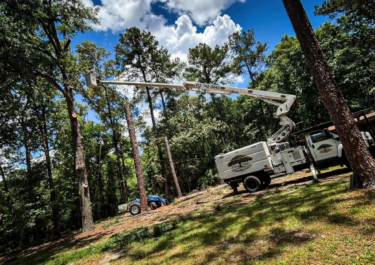 LoyalTree bucket truck working in a wooded coastal Georgia yard