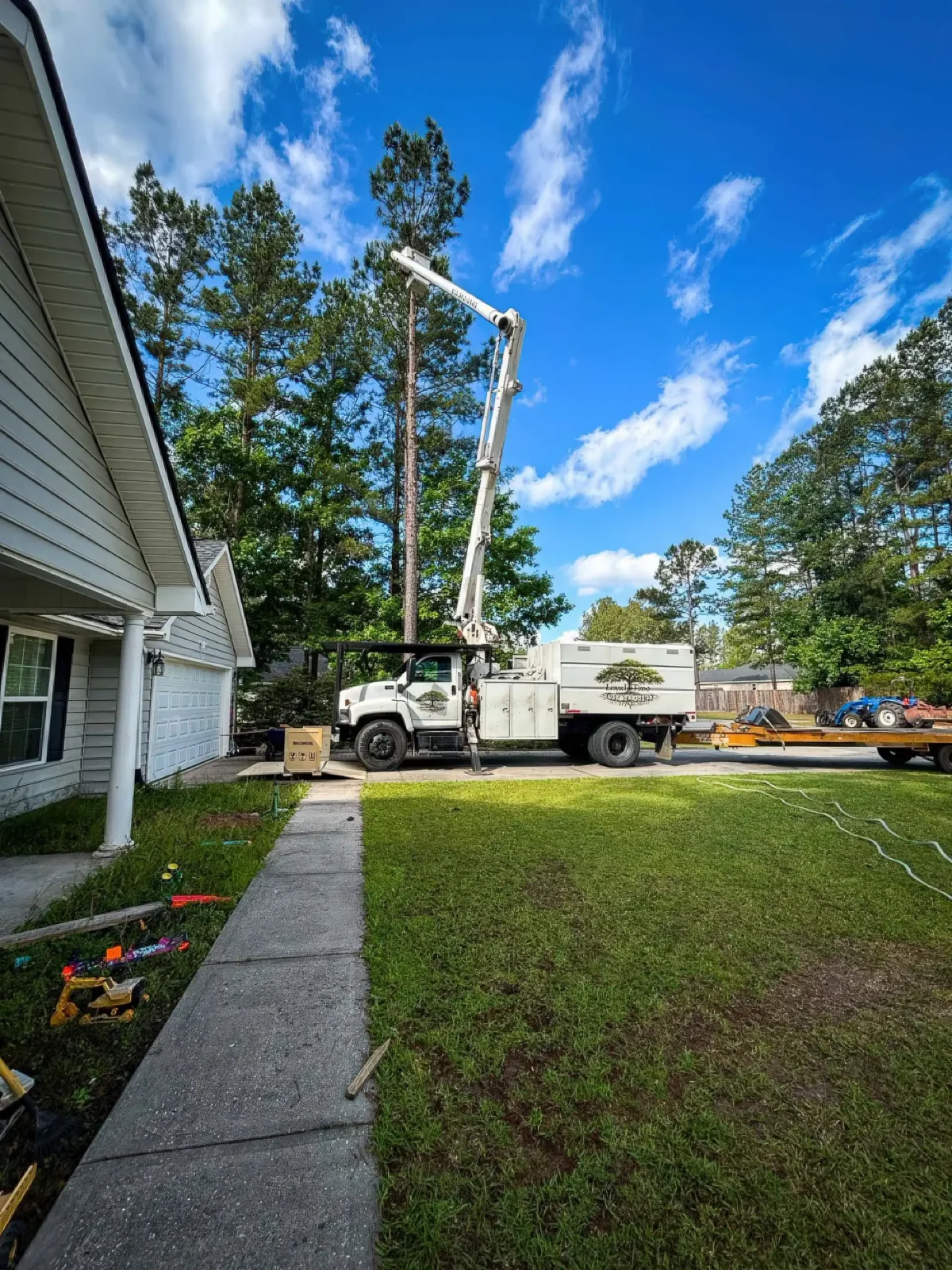 Tree-lined property in the LoyalTree coastal Georgia service area
