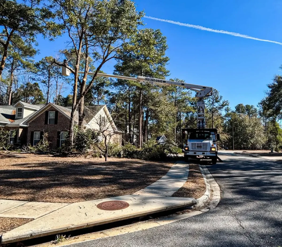 LoyalTree bucket truck in a client driveway among trees at an Effingham County home