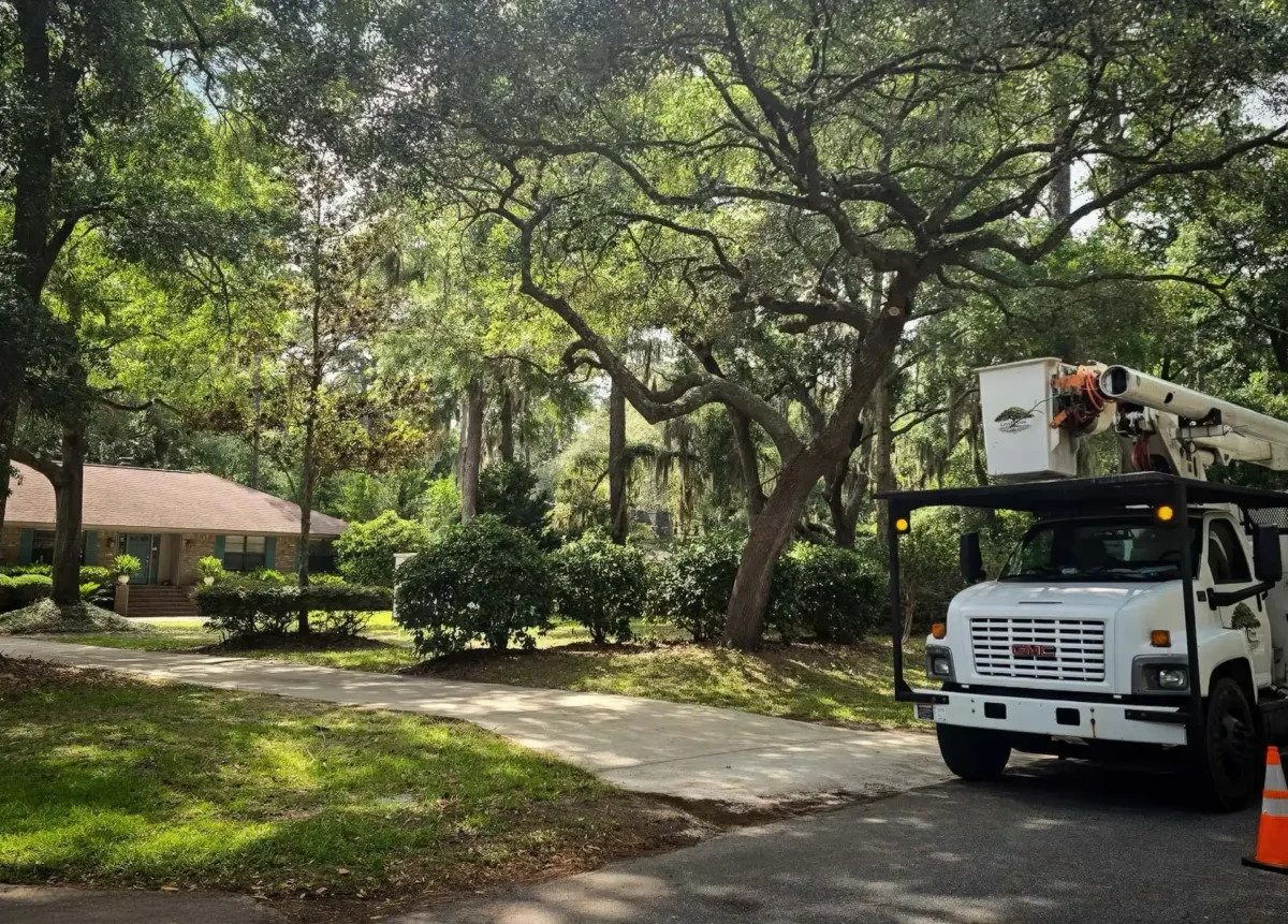 LoyalTree bucket truck trimming trees on a tree-lined coastal Georgia street