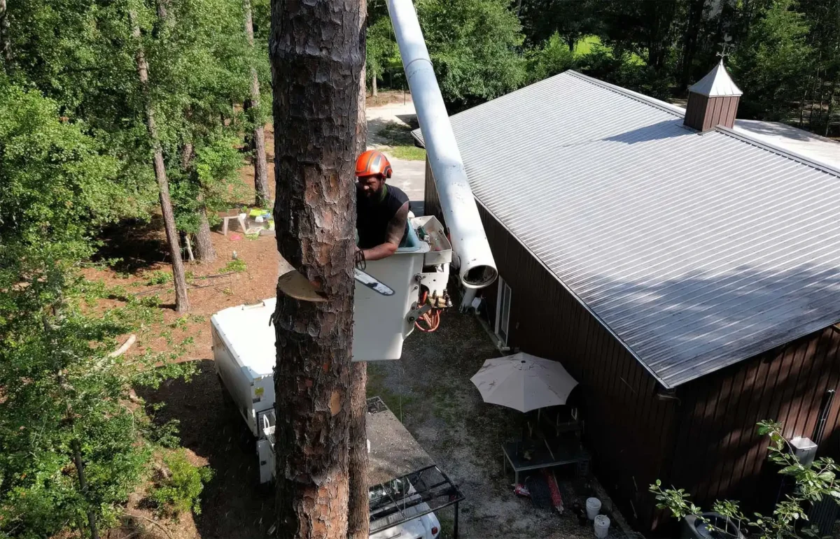 LoyalTree performing bucket-truck tree work on a coastal Georgia lot