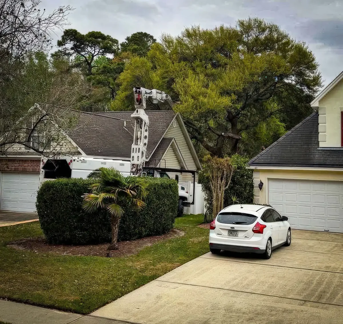 Coastal Georgia home with hedges and a tidy yard serviced by LoyalTree