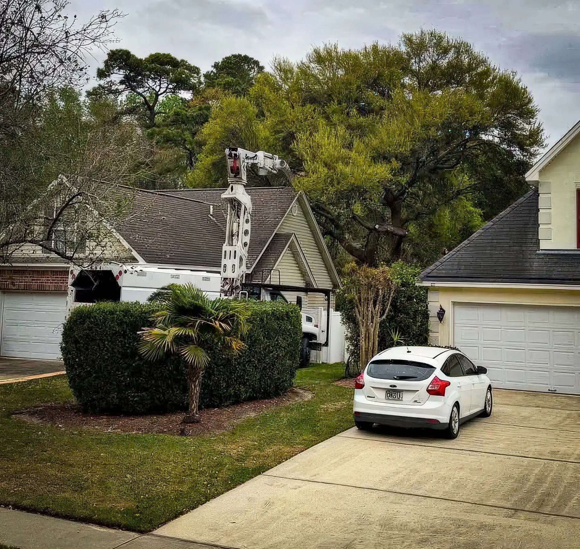 Coastal Georgia home with hedges and a tidy yard serviced by LoyalTree