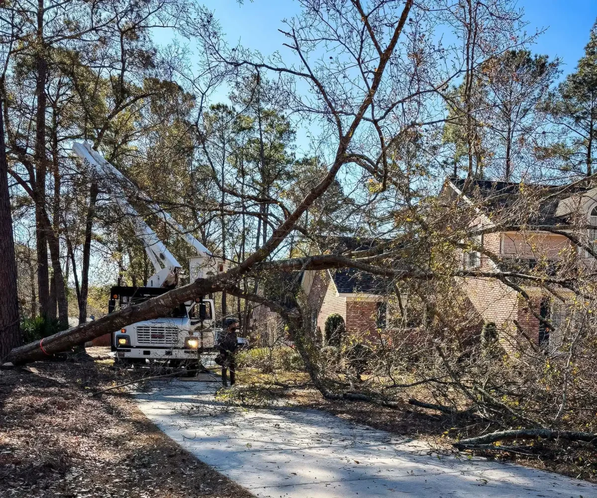 Storm-felled tree across a coastal Georgia yard, cleared by LoyalTree storm response