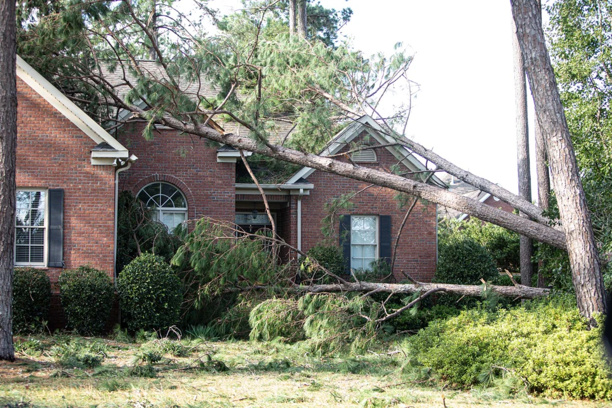 Oak limb resting on a brick ranch house after a storm in coastal Georgia